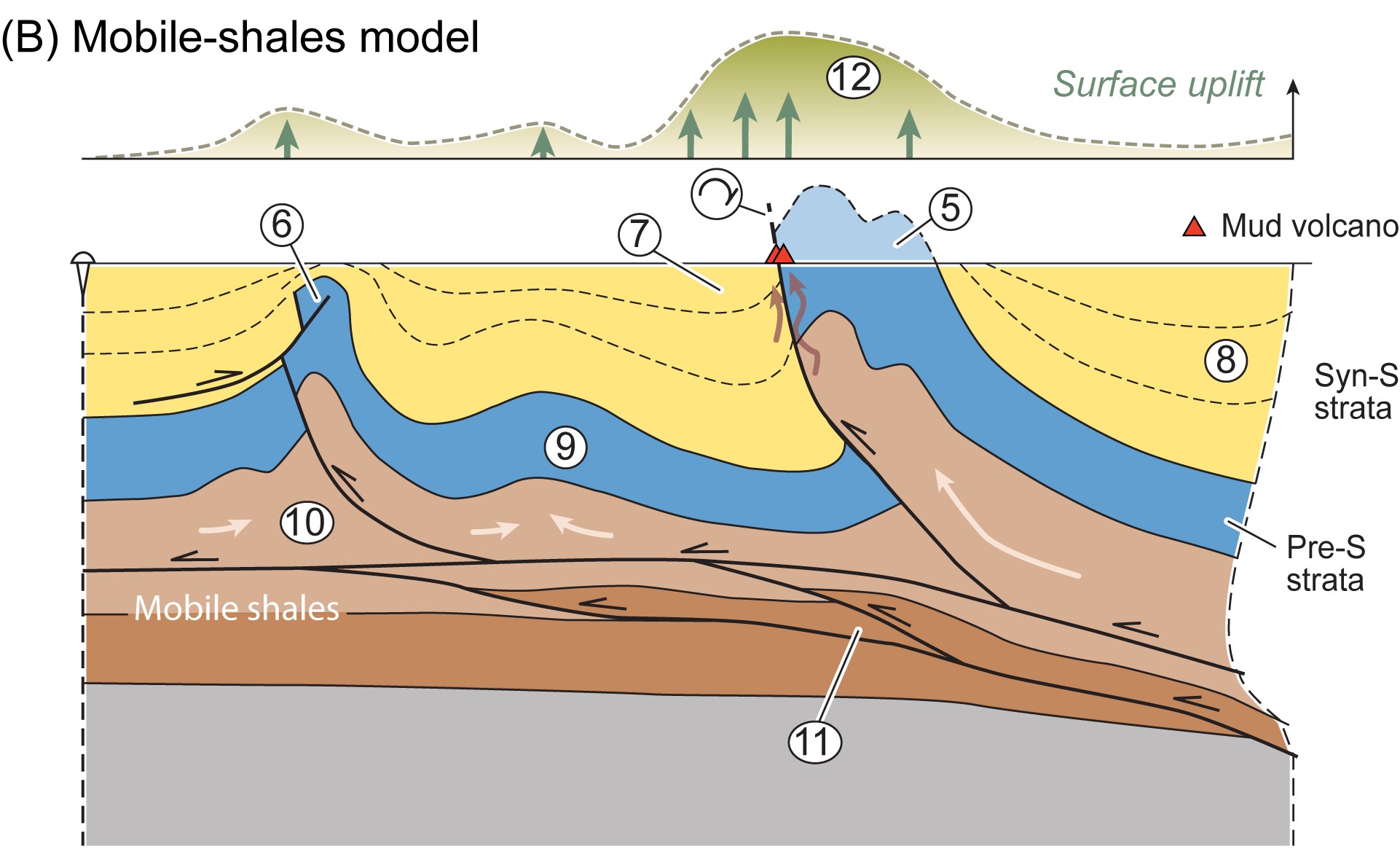 Figure showing thrusting vs mobile shales